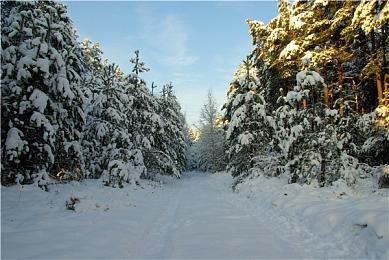 《极品飞车22》原声乐公开 25个国家超70首曲目